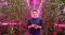 Growwise – tomater