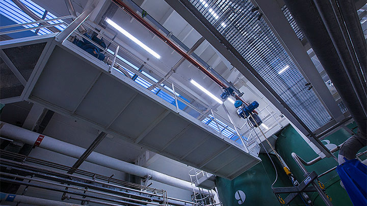 Novozymes