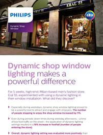 Brochure: PerfectScene – Dynamic Window
