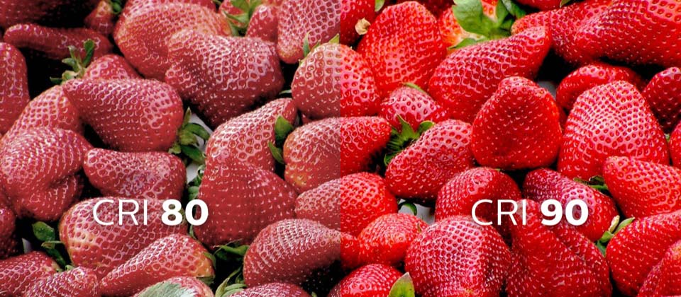 Farvegengivelse indeks sammenligning af farverige jordbær
