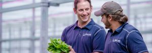 Salatavler skifter til 100 % Philips LED-topbelysning 