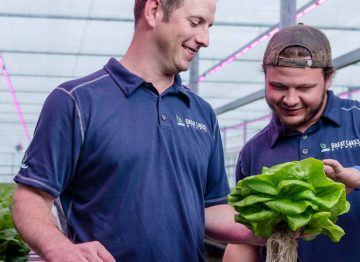 Gå foran med LED-belysningsteknologi til gartnerier