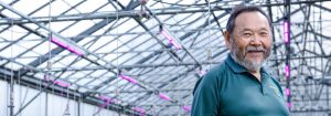 Viser vejen med LED-belysning