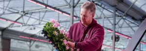 Avler reducerer behov for arbejdskraft med Philips LED-topbelysning