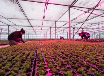 Det er en win/win situation