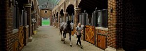 Bourne Hill Stables skaber et sikrere miljø med UV-C-belysning